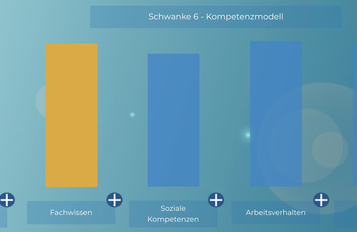 Schwanke 6 Kompetenzmodell